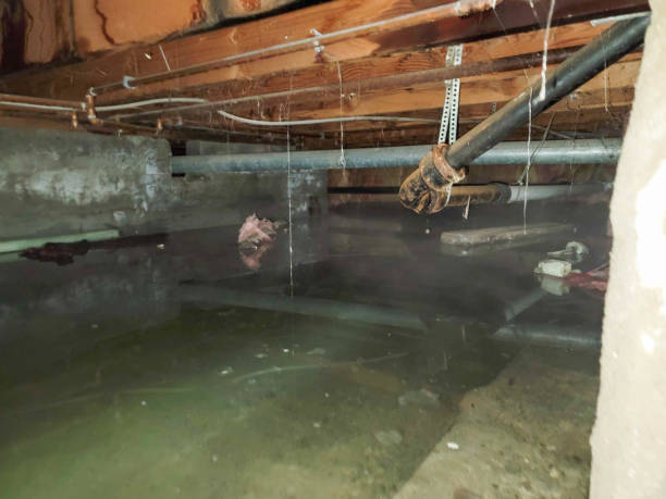 Best Basement water damage restoration  in Monmouth, OR