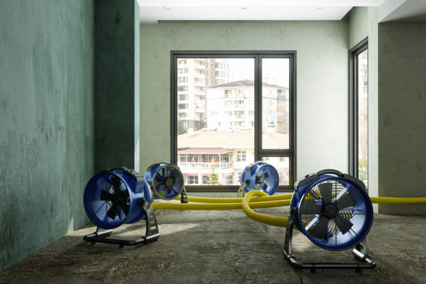 Best 24-hour water damage restoration  in Monmouth, OR